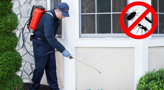 Çayırova Hamam Böceği İlaçlama böcek ilaçlama ve haşere kontrolü — ilaclama-tr.com